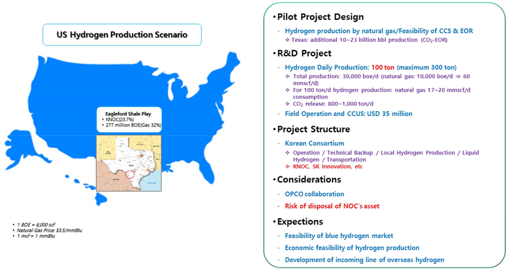 Role of Blue Hydrogen for Developing National Hydrogen Supply Infrastructure